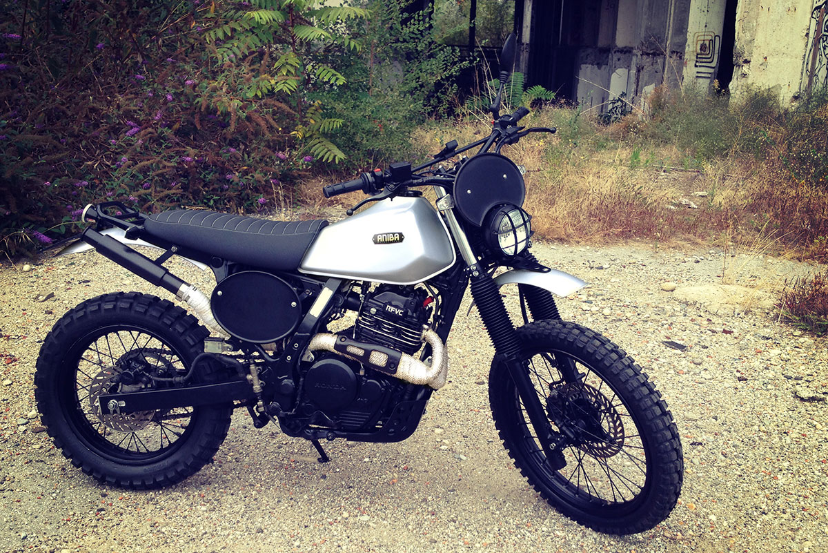 Honda Dominator scrambler